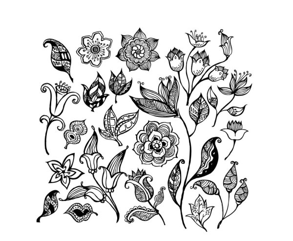 黑白花纹花朵——矢量素材