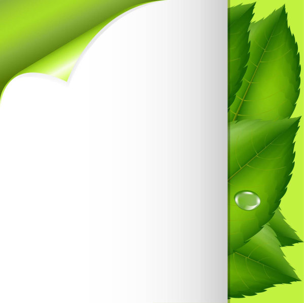 Roll angle and green leaves 01 - Vector