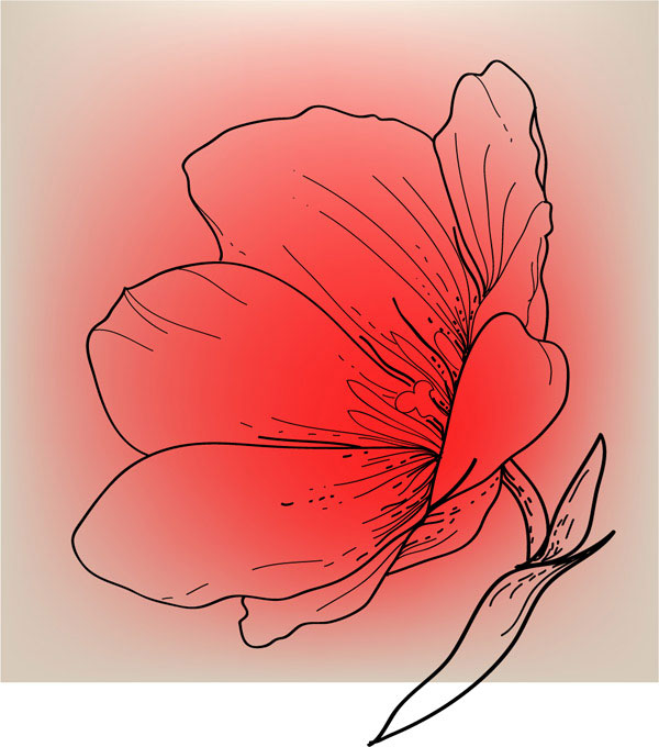 线稿花纹02——矢量素材