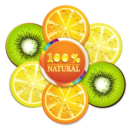 Delicious fruit slices 05 - vector material