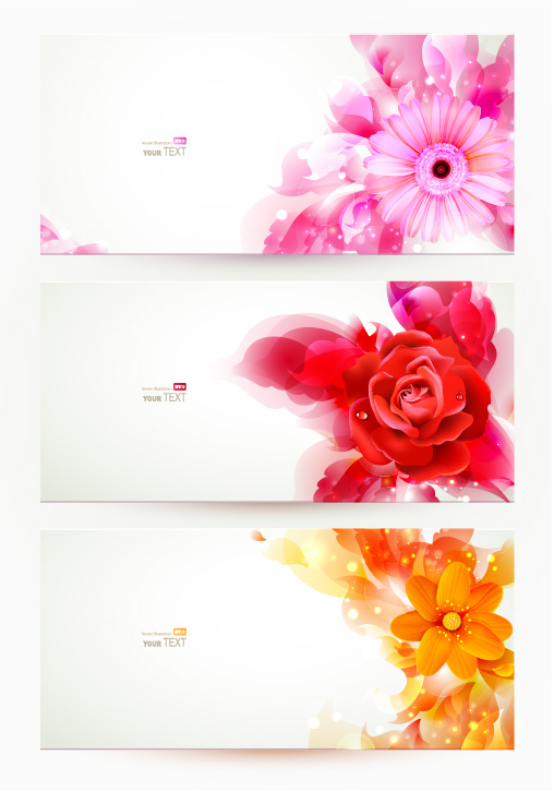 Gorgeous fashion pattern banner 04 - vector material