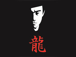 李小龙矢量---临摹